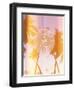 Glam World 2-Lola Bryant-Framed Art Print