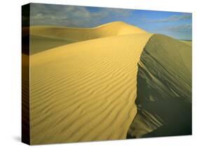 Glamis Sand Dunes, California, USA-Chuck Haney-Stretched Canvas