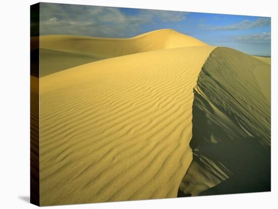 Glamis Sand Dunes, California, USA-Chuck Haney-Stretched Canvas