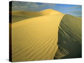 Glamis Sand Dunes, California, USA-Chuck Haney-Stretched Canvas