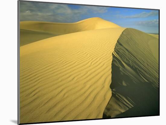 Glamis Sand Dunes, California, USA-Chuck Haney-Mounted Premium Photographic Print