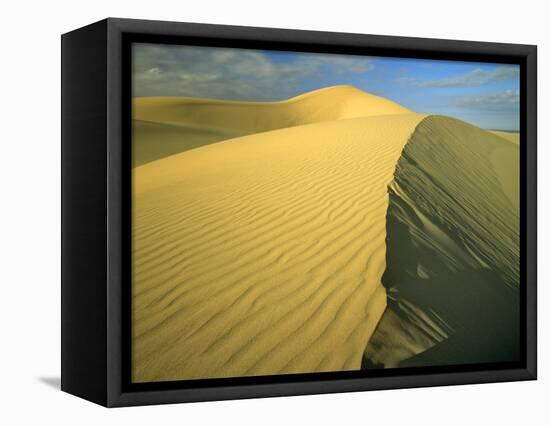 Glamis Sand Dunes, California, USA-Chuck Haney-Framed Stretched Canvas