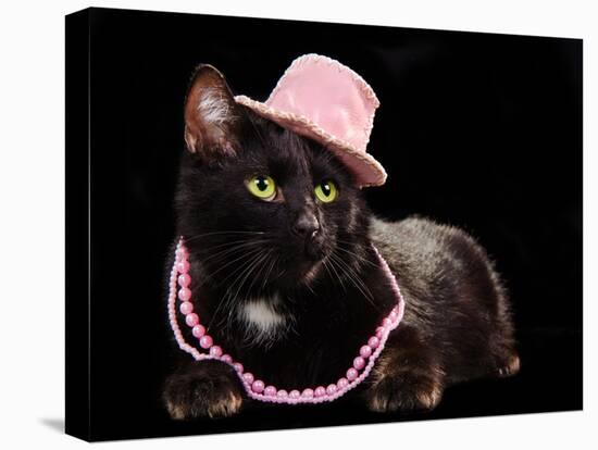 Glamorous Black Cat Wearing Pink Hat And Beads Against Black Background-vitalytitov-Stretched Canvas