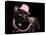 Glamorous Black Cat Wearing Pink Hat And Beads Against Black Background-vitalytitov-Stretched Canvas