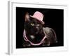 Glamorous Black Cat Wearing Pink Hat And Beads Against Black Background-vitalytitov-Framed Photographic Print
