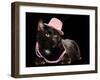 Glamorous Black Cat Wearing Pink Hat And Beads Against Black Background-vitalytitov-Framed Photographic Print