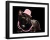 Glamorous Black Cat Wearing Pink Hat And Beads Against Black Background-vitalytitov-Framed Photographic Print