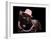 Glamorous Black Cat Wearing Pink Hat And Beads Against Black Background-vitalytitov-Framed Photographic Print