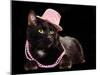 Glamorous Black Cat Wearing Pink Hat And Beads Against Black Background-vitalytitov-Mounted Photographic Print