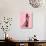 Glamour Cat in Pink-Fab Funky-Art Print displayed on a wall