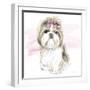 Glamour Pups VIII-Beth Grove-Framed Art Print