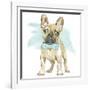 Glamour Pups XI-Beth Grove-Framed Art Print