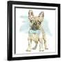 Glamour Pups XI-Beth Grove-Framed Art Print