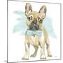 Glamour Pups XI-Beth Grove-Mounted Art Print