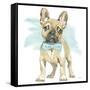 Glamour Pups XI-Beth Grove-Framed Stretched Canvas