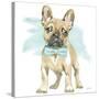 Glamour Pups XI-Beth Grove-Stretched Canvas
