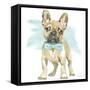 Glamour Pups XI-Beth Grove-Framed Stretched Canvas