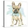 Glamour Pups XI-Beth Grove-Stretched Canvas