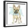 Glamour Pups XI-Beth Grove-Framed Art Print