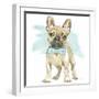 Glamour Pups XI-Beth Grove-Framed Art Print