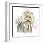 Glamour Pups XII-Beth Grove-Framed Art Print