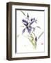 Glamour-Nan Rae-Framed Art Print