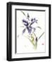 Glamour-Nan Rae-Framed Art Print