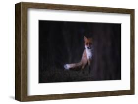 Glances-Sebastian Mastahac-Framed Photographic Print