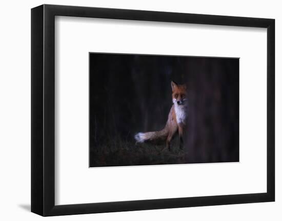 Glances-Sebastian Mastahac-Framed Photographic Print