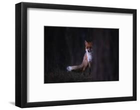 Glances-Sebastian Mastahac-Framed Photographic Print