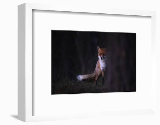 Glances-Sebastian Mastahac-Framed Photographic Print