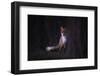 Glances-Sebastian Mastahac-Framed Photographic Print