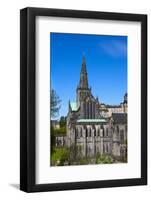 Glasgow Cathedral, Glasgow, Scotland, United Kingdom, Europe-John Guidi-Framed Photographic Print