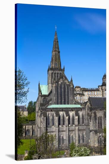 Glasgow Cathedral, Glasgow, Scotland, United Kingdom, Europe-John Guidi-Stretched Canvas