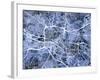 Glasgow City Street Map-Michael Tompsett-Framed Art Print