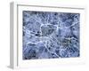 Glasgow City Street Map-Michael Tompsett-Framed Art Print