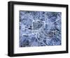 Glasgow City Street Map-Michael Tompsett-Framed Art Print