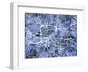 Glasgow City Street Map-Michael Tompsett-Framed Art Print