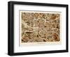 Glasgow City Street Map-Michael Tompsett-Framed Art Print