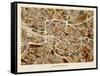 Glasgow City Street Map-Michael Tompsett-Framed Stretched Canvas