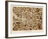 Glasgow City Street Map-Michael Tompsett-Framed Art Print