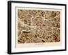 Glasgow City Street Map-Michael Tompsett-Framed Art Print