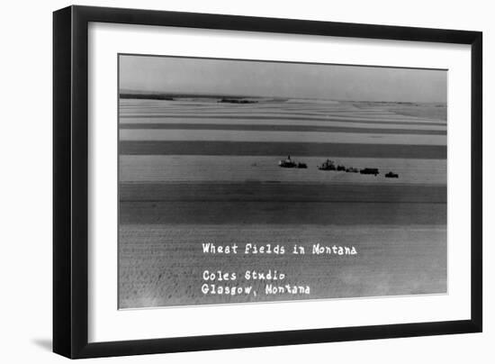 Glasgow, Montana - Wheat Fields-Lantern Press-Framed Art Print