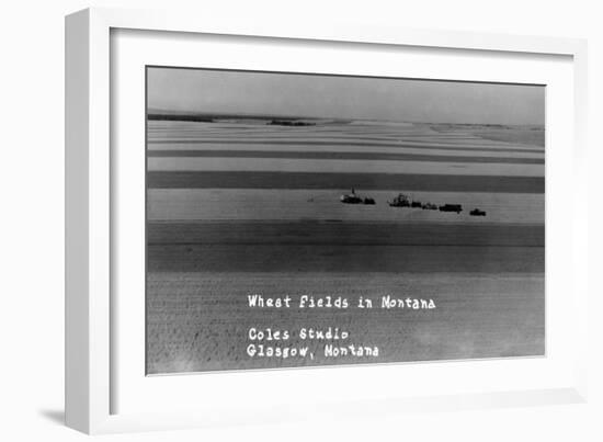 Glasgow, Montana - Wheat Fields-Lantern Press-Framed Art Print