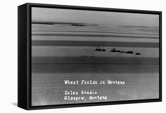 Glasgow, Montana - Wheat Fields-Lantern Press-Framed Stretched Canvas