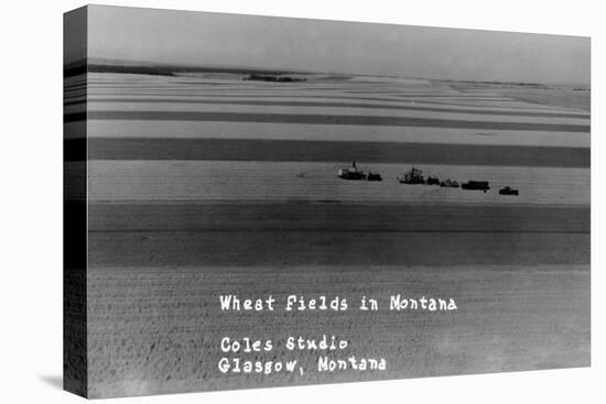 Glasgow, Montana - Wheat Fields-Lantern Press-Stretched Canvas