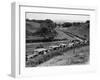 Glasgow Taxis Taking Children from Mearnskirk Hospital on Their Annual Outing to Troon, 1955-null-Framed Premium Photographic Print