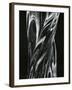 Glass, 1981-Brett Weston-Framed Photographic Print