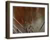 Glass, 2021, (digital)-Scott J. Davis-Framed Giclee Print