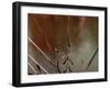 Glass, 2021, (digital)-Scott J. Davis-Framed Giclee Print